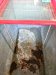 freezer per gelati vetrato usato